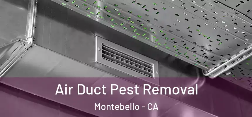 Air Duct Pest Removal Montebello - CA