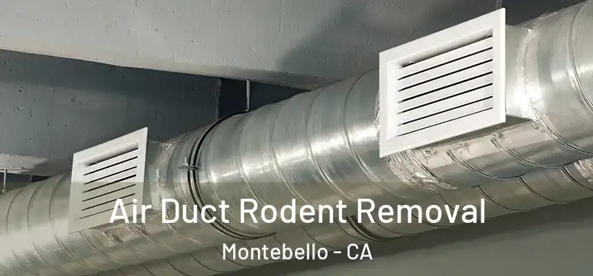 Air Duct Rodent Removal Montebello - CA