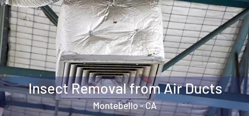 Insect Removal from Air Ducts Montebello - CA
