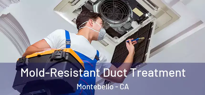  Mold-Resistant Duct Treatment Montebello - CA