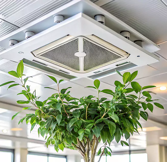 Why Homeowners & Businesses Trust Us in Montebello, CA?